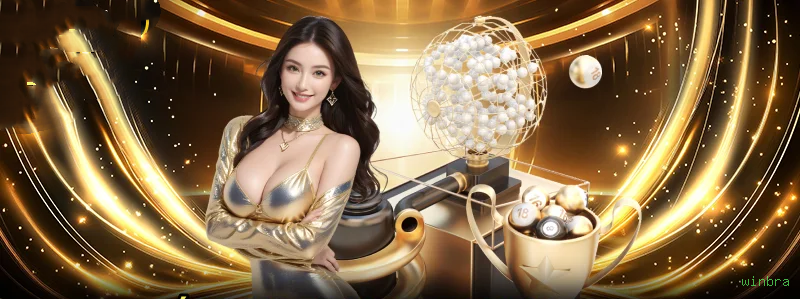 Interface Premium winbra